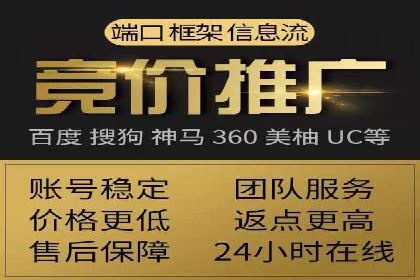 搜索引擎营销（SEM）的投放策略与效果评估——以某行业领先企业的案例分析